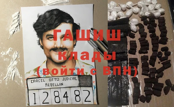 индика Елабуга