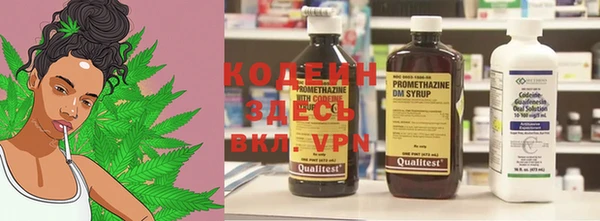 герыч Ельня