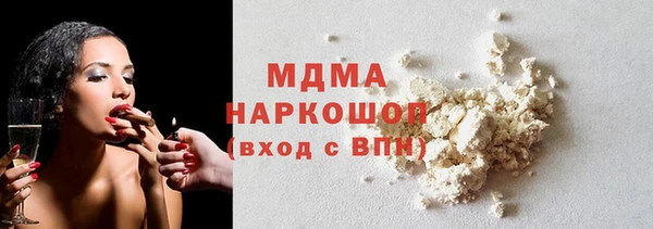индика Елабуга
