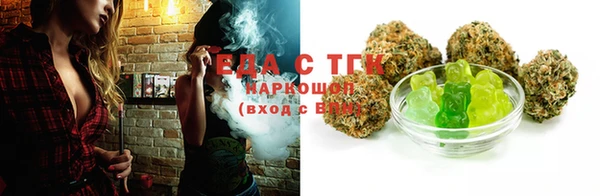 индика Елабуга