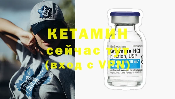 индика Елабуга