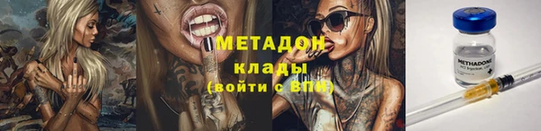 индика Елабуга