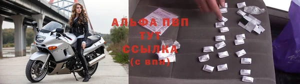 индика Елабуга
