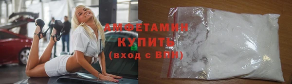 индика Елабуга