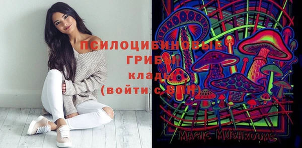 герыч Ельня