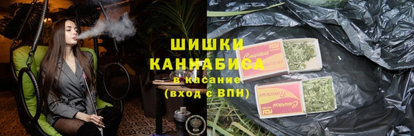 индика Елабуга