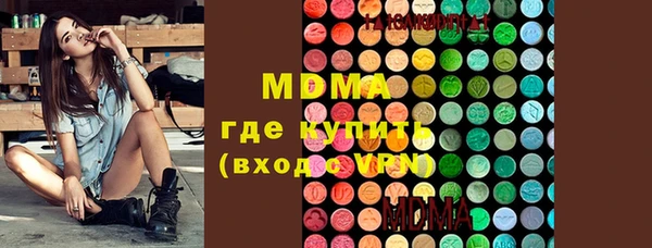 индика Елабуга