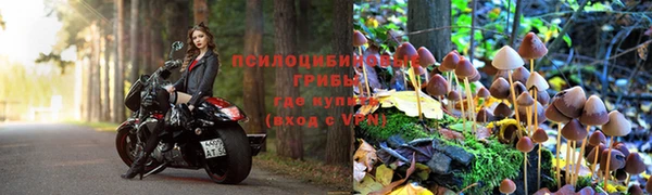индика Елабуга