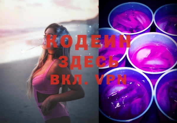 индика Елабуга