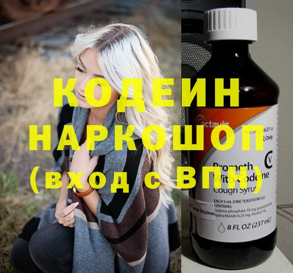 индика Елабуга