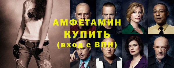 индика Елабуга