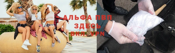 индика Елабуга