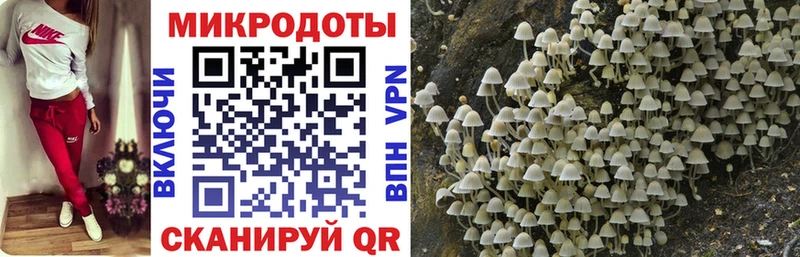 Купить где  Добрянка  Галлюциногенные грибы Psilocybine cubensis 